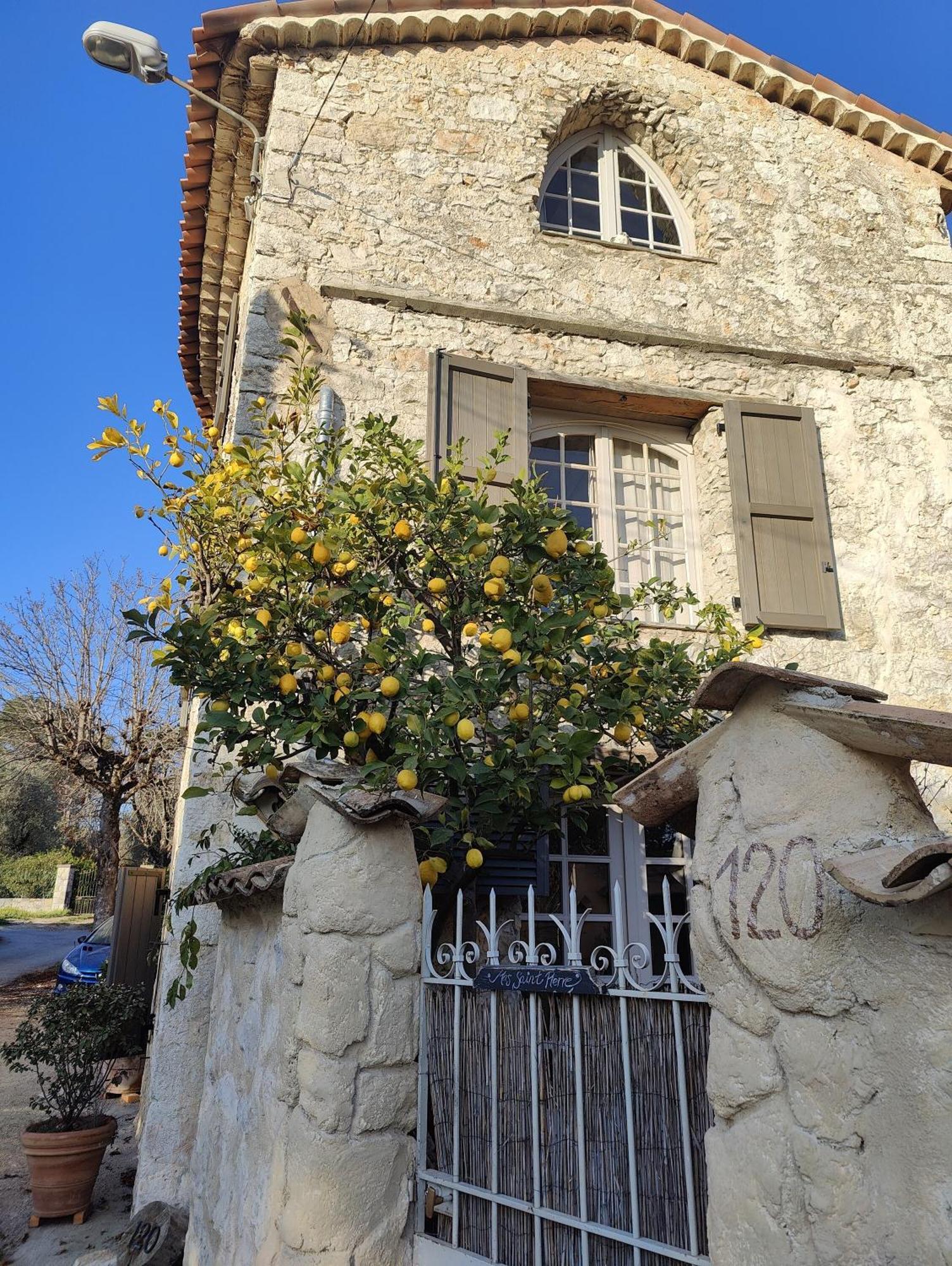 Le Mas Saint Pierre Roquefort-les-Pins Buitenkant foto