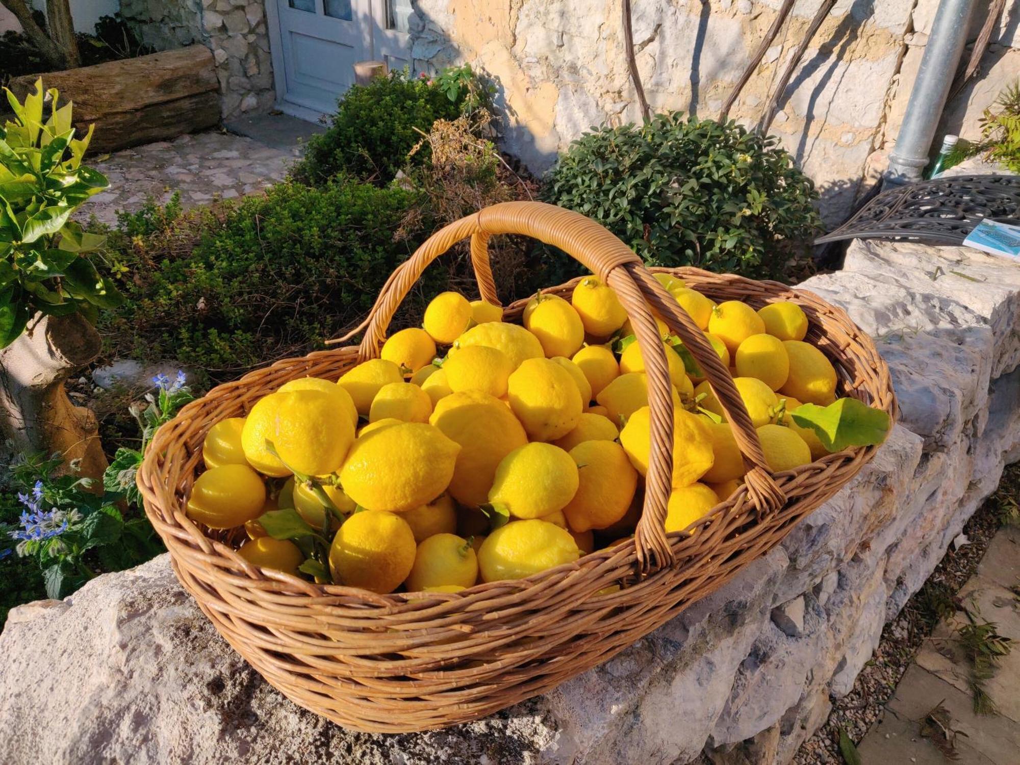 Le Mas Saint Pierre Roquefort-les-Pins Buitenkant foto